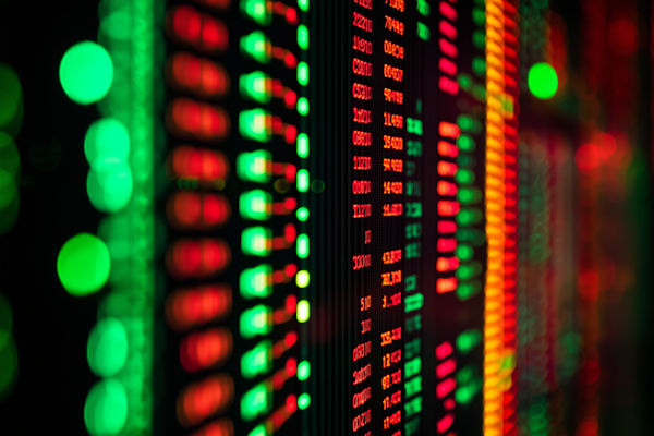 Portfolio analysis showing investment growth and results
